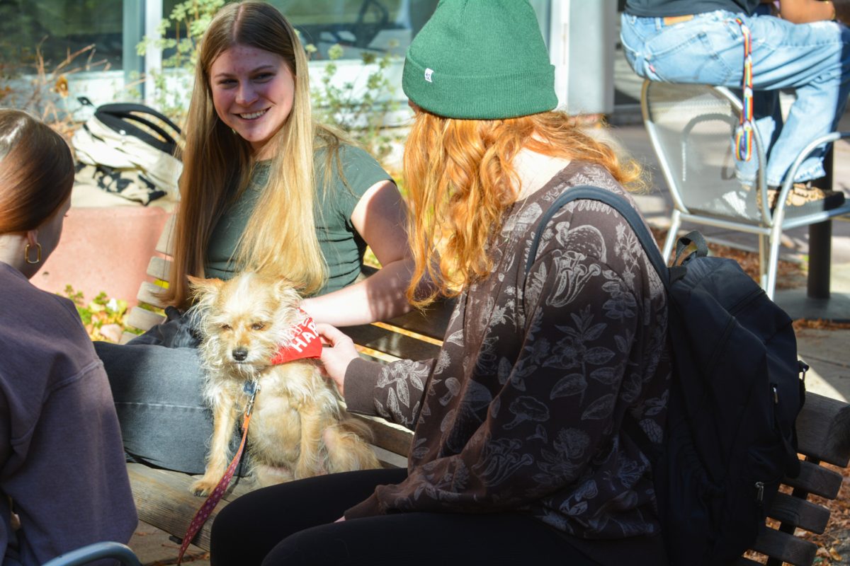 Two students petting a dog with a red bandana