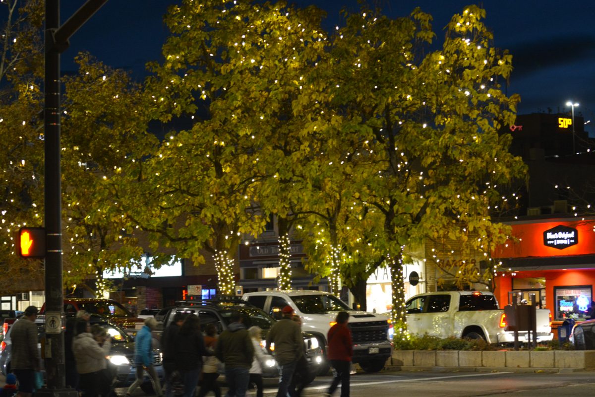 Trees with lights in them