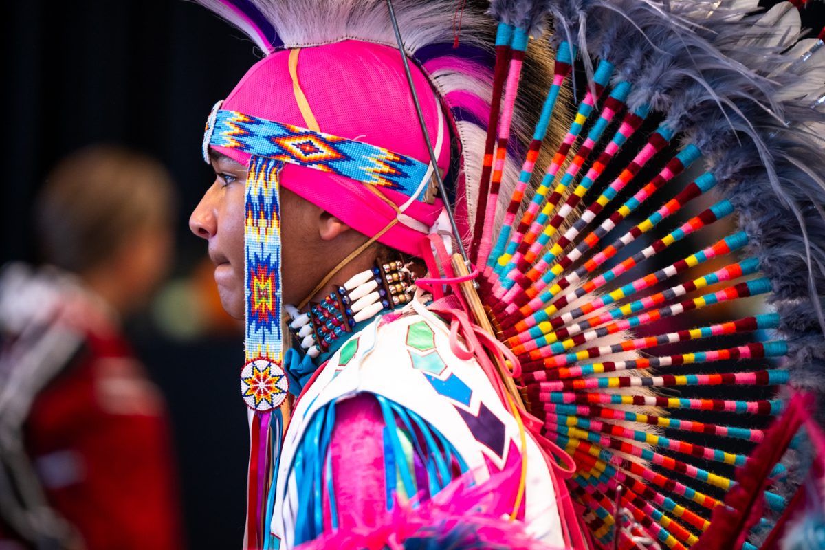 A young man wearing an extremely colorful costume and a large, mohawk-like headdress with a beaded headband and a beaded necklace.