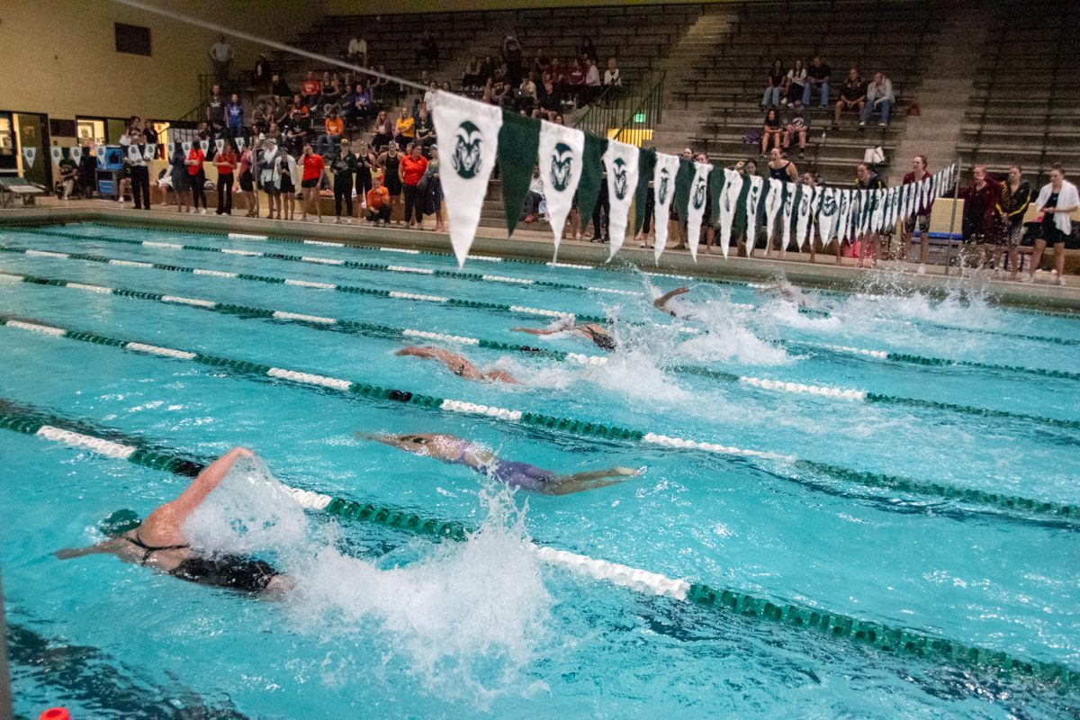 pool with 6 lanes, everyone swimming freestyle, crowd in the background