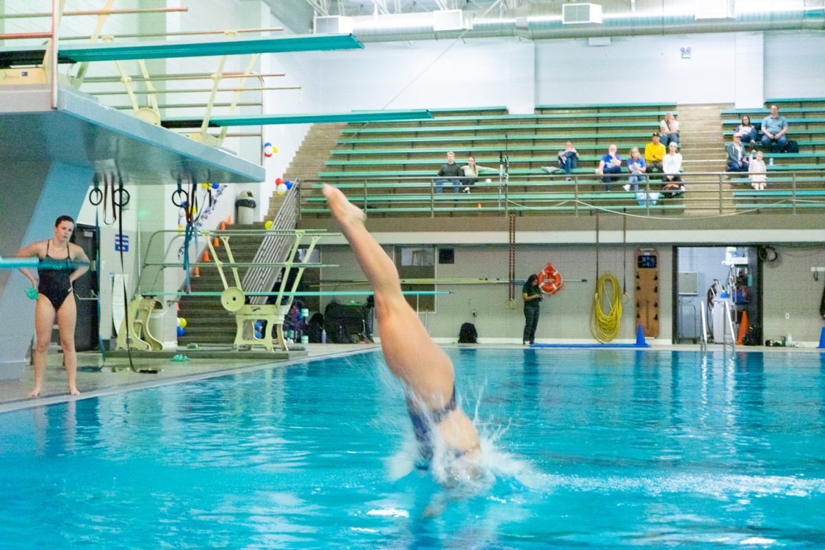 Colorado State University dive member goes headfirst halfway into the water at the swim meet against Wyoming at the Edora Pool Ice Center Nov. 8, 2024.