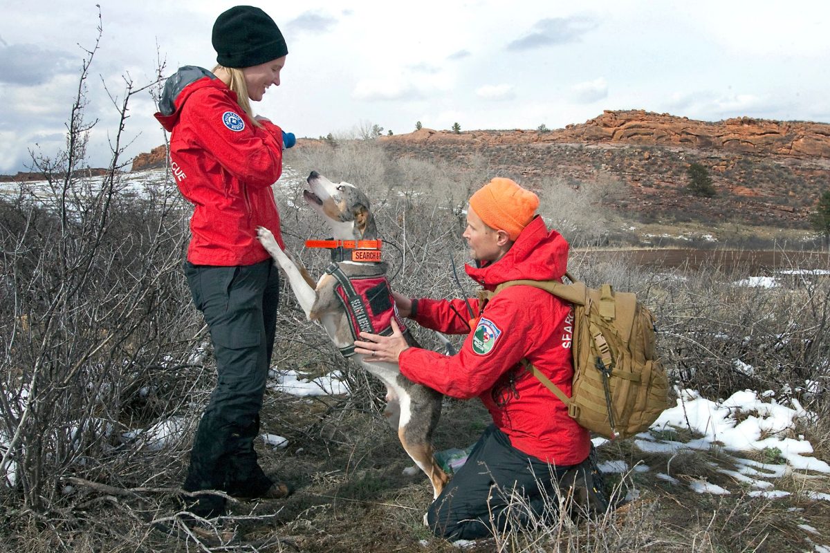 Two people in red jackets in a barren field play with a grey and white dog.