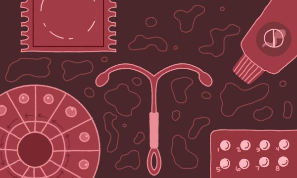 An illustration all in red of several forms of birth control, including a condom, an IUD and a packet of pills.