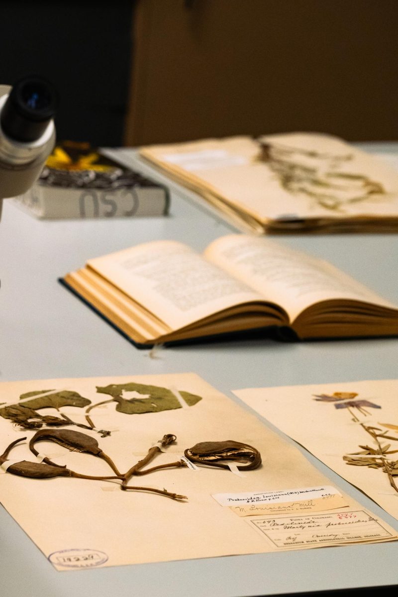 The Charles Maurer Herbarium Collection at Colorado State University is the third-largest collection of plants and the oldest herbarium in the Rocky Mountain region Dec. 2. "It was founded in 1883, pretty much right after the university," Herbarium Curator Jennifer Ackerman said. "This was one of the very first collections made by our first curator, Professor James Cassidy." 