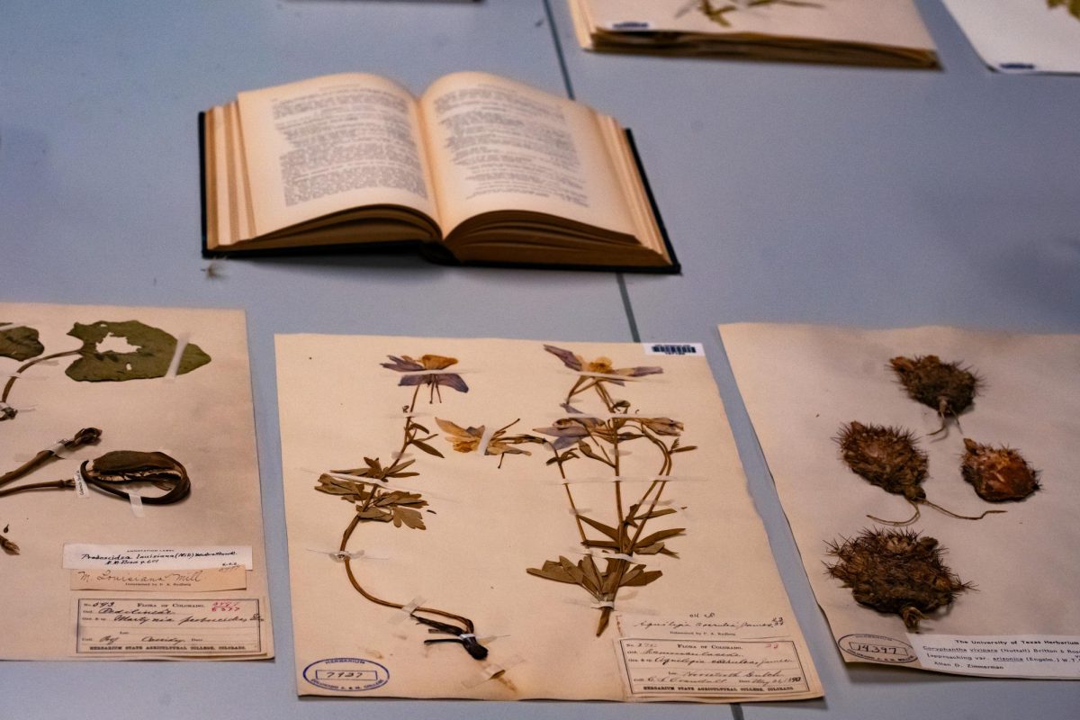 Three plant specimens on a table in front of an open book containing descriptions of flora found in the Rocky Mountain region. The specimen in focus is the columbine flower.