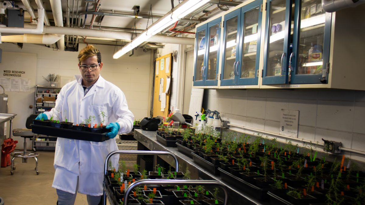 young man wears glasses and a lab coat as he holds a tray of multiple plants with different labels in a lab room