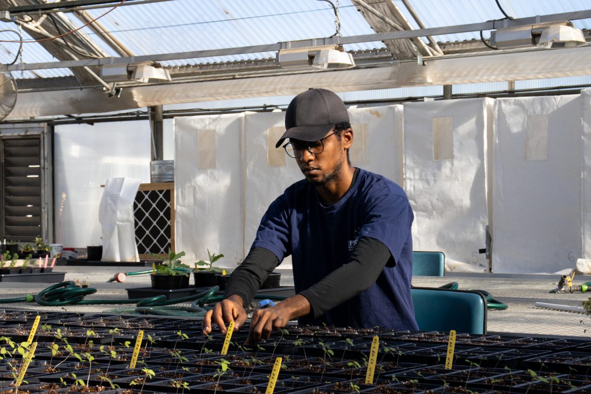 young man wear a blue and black shirt and a navy blue baseball cap as he sit in a green house and plants new plants for scientific purposes