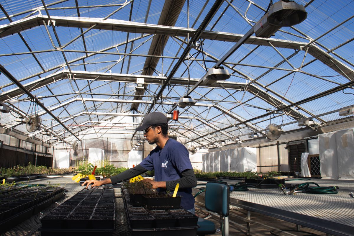 young man wear a blue and black shirt and a navy blue baseball cap as he sit in a green house and plants new plants for scientific purposes