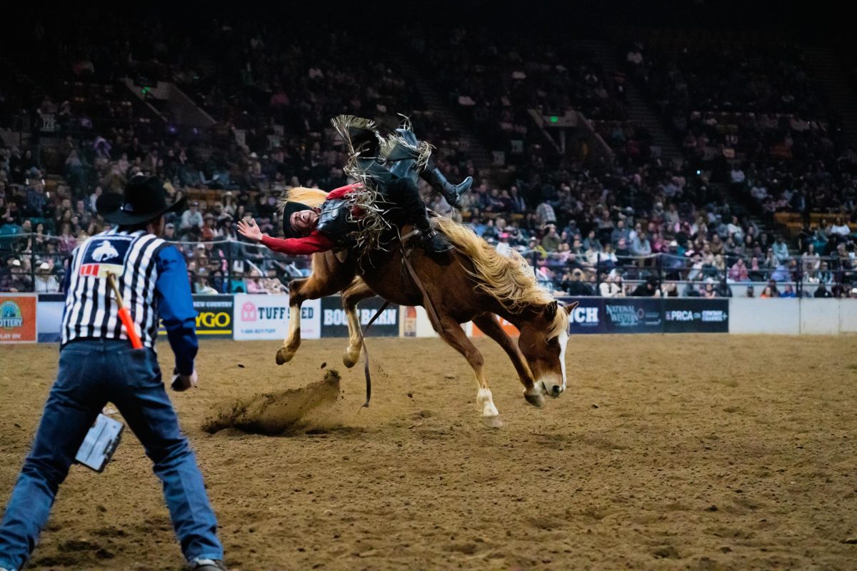 A referee watches a man being bucked off a horse