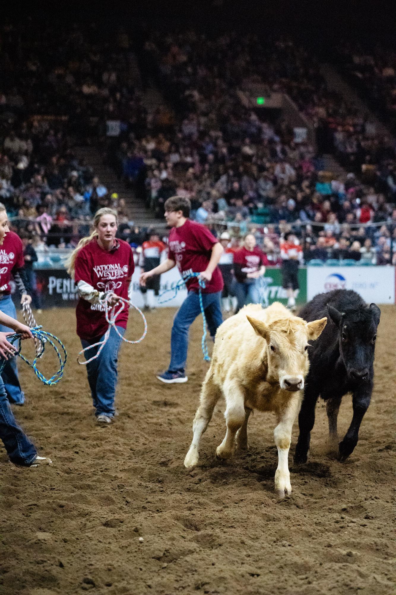 Gallery: National Western Stock Show Pro Rodeo