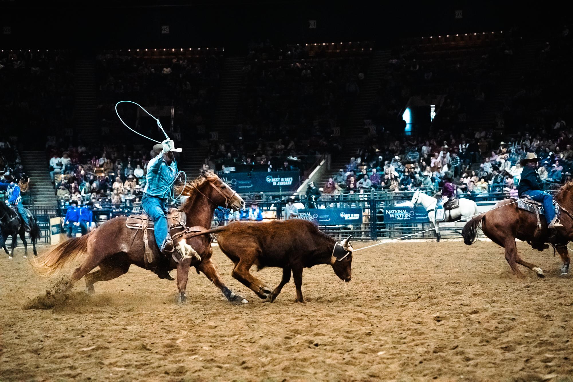 Gallery: National Western Stock Show Pro Rodeo