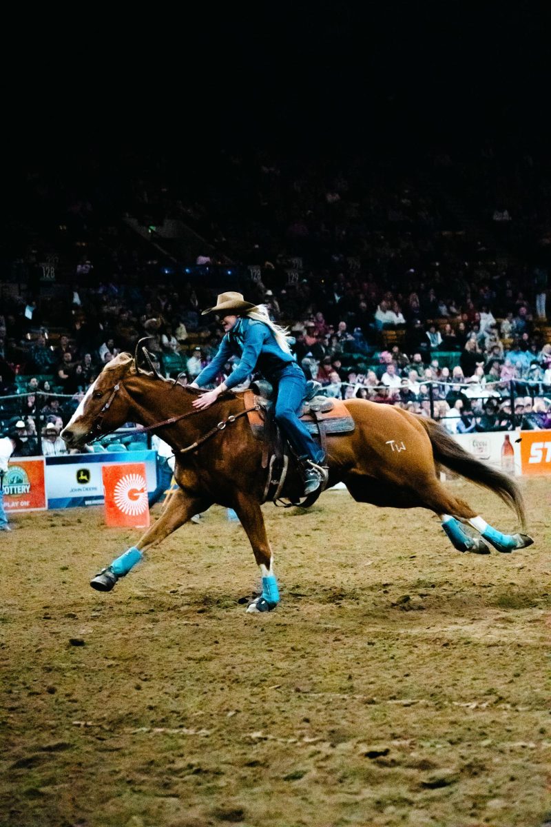 A woman wearing blue rides a horse