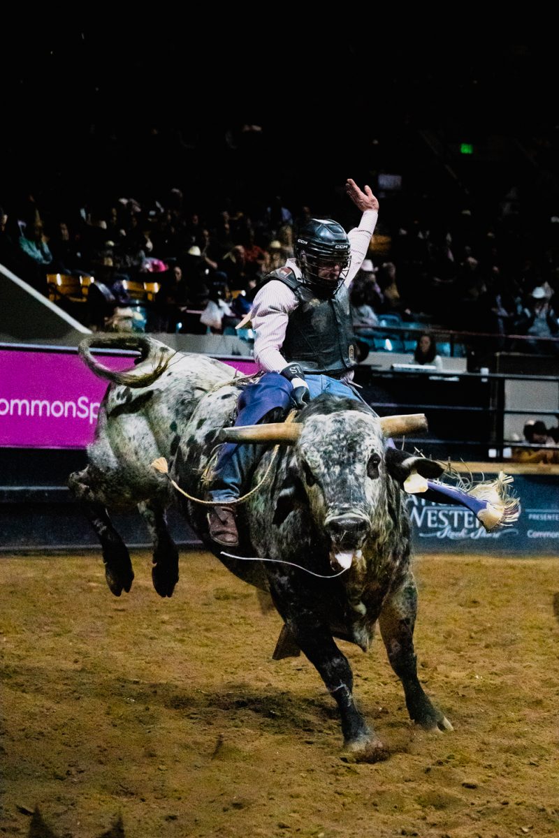 A man wearing protective gear rides a bucking bull