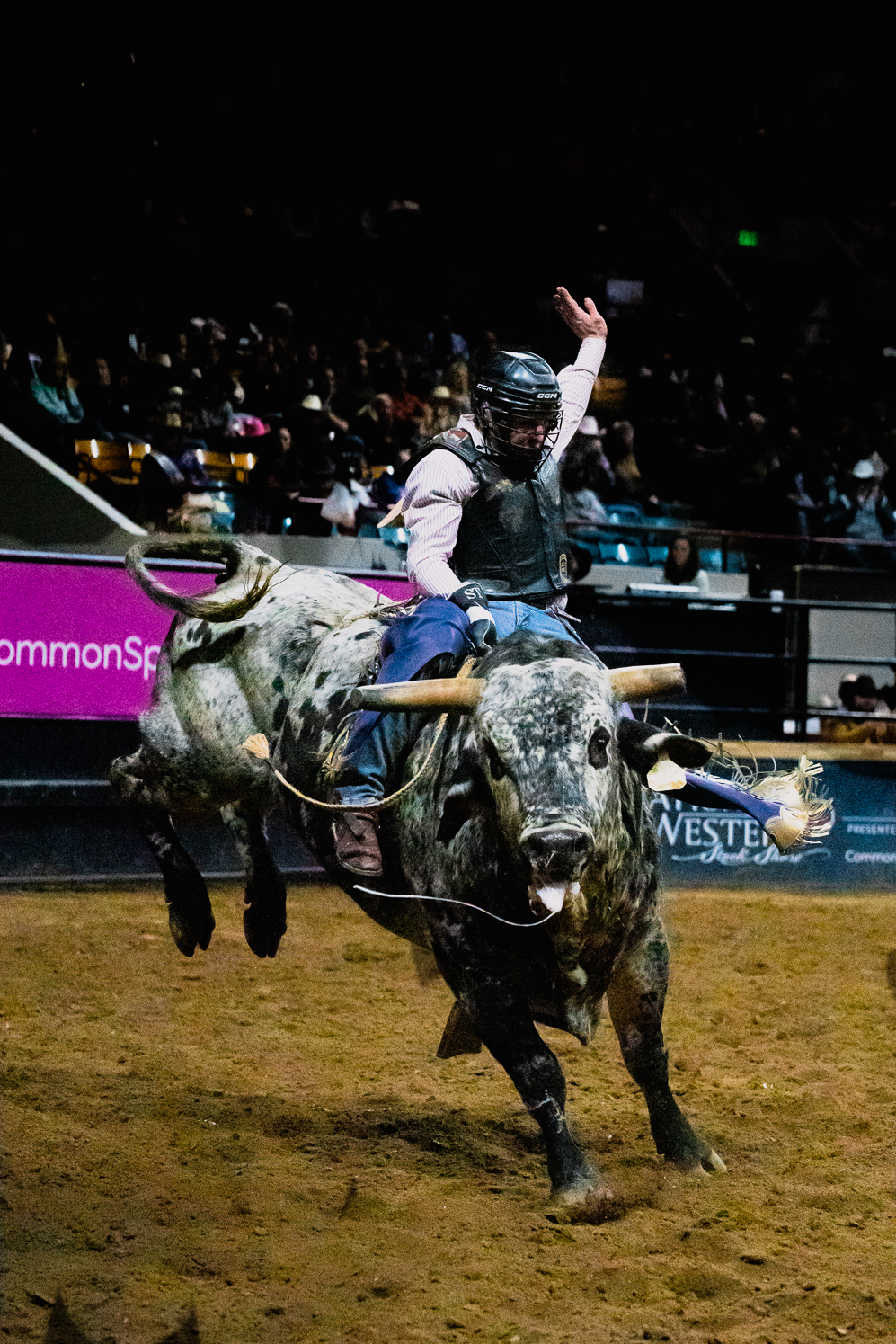 Gallery: National Western Stock Show Pro Rodeo