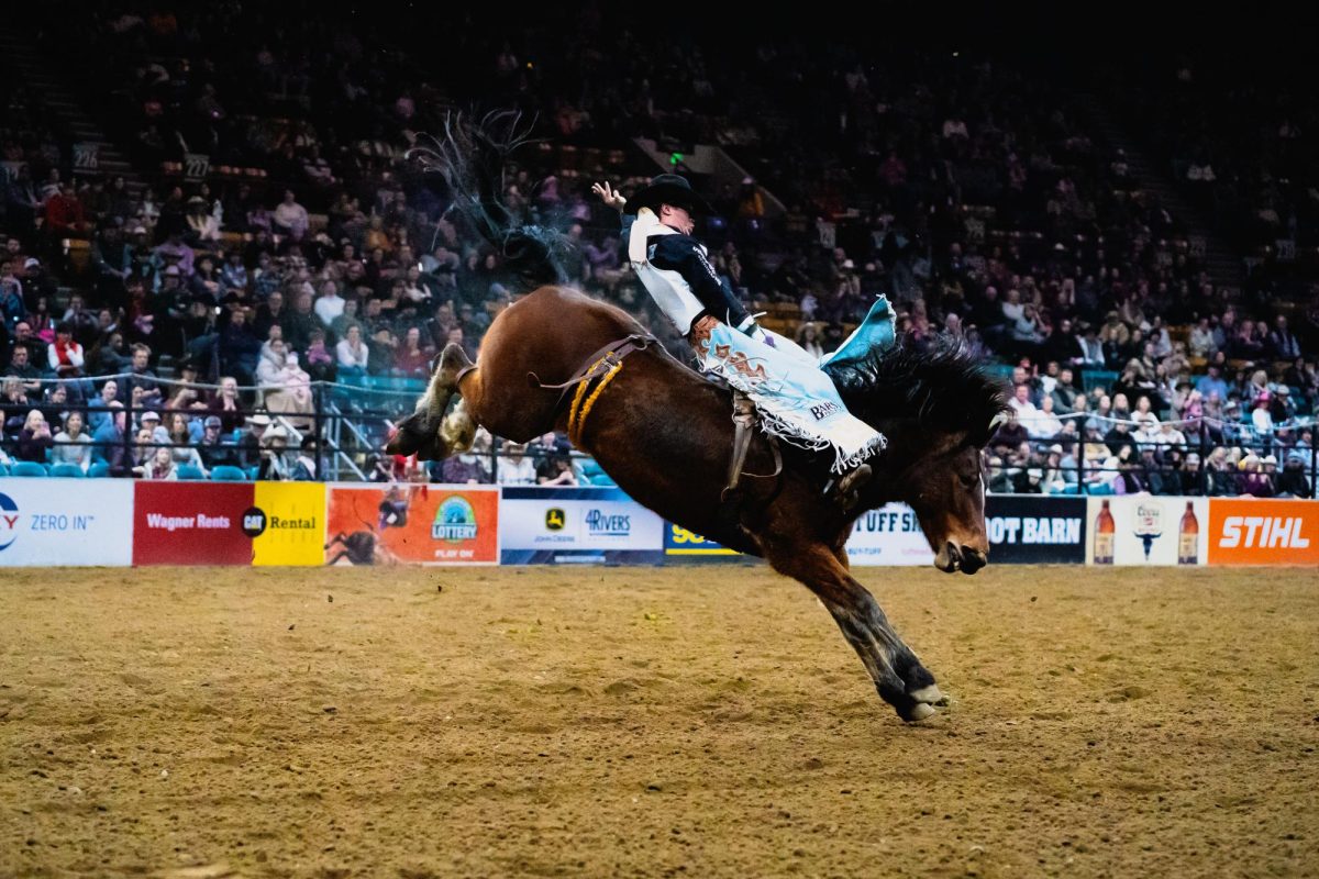 A rider sits on a bucking horse