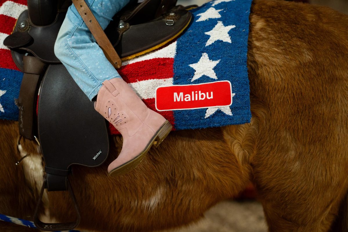 A close-up image of a little girl riding a light brown horse. The saddle on the horse reads "Malibu" and is American flag-themed.