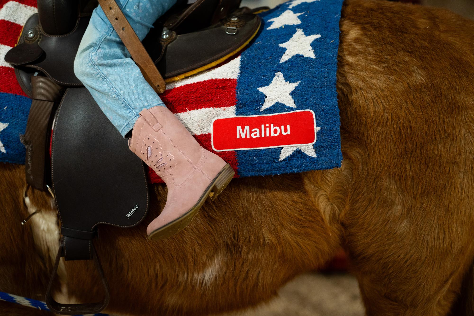 Gallery: National Western Stock Show brings ag education to Colorado community