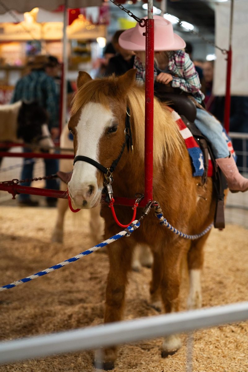 In a pen, a little girl rides a light brown horse with an American flag-themed saddle.