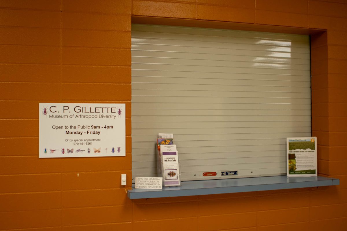 The C. P. Gillette Museum of Arthropod Diversity is located in the Hartshorn basement and is home to 4.7 million species of insects from around the world. Jan.24.