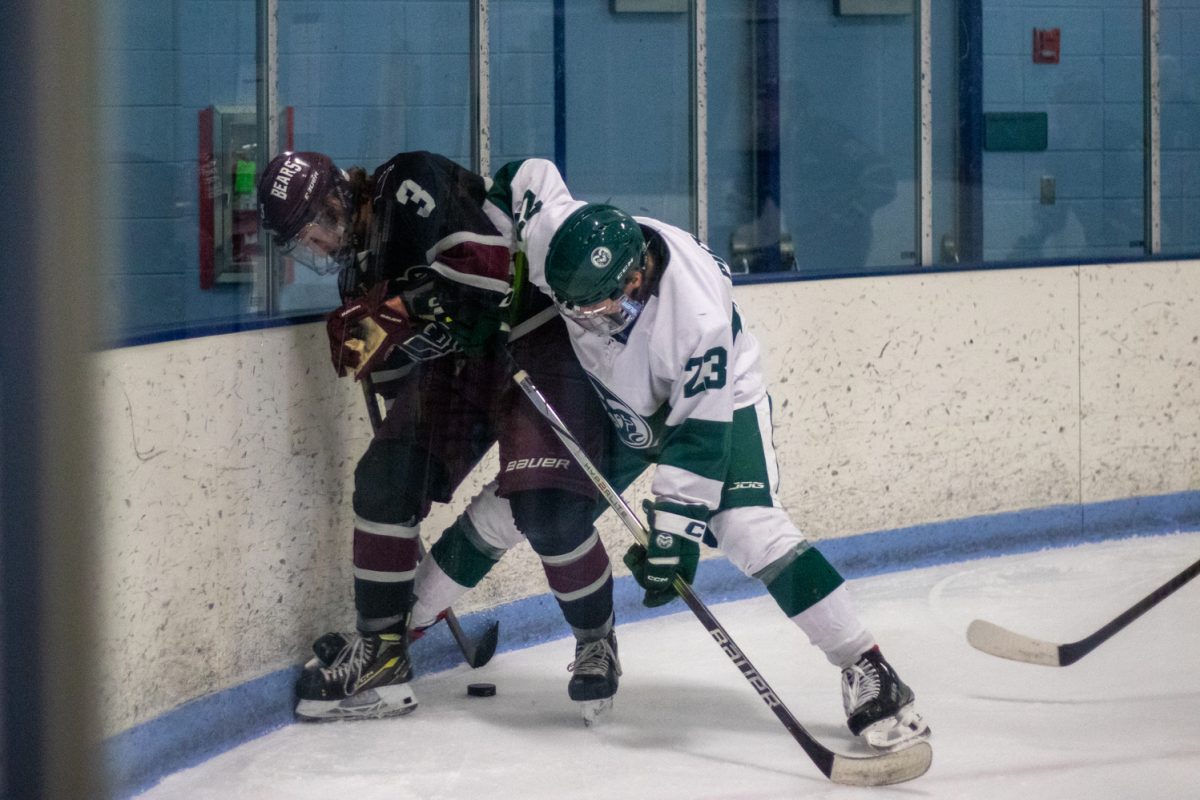 Martin Pietraszek fights for the puck along the back board during Colorado State University's hockey match against Missouri State University Jan. 31. The Rams lost to the Bears 5-4.