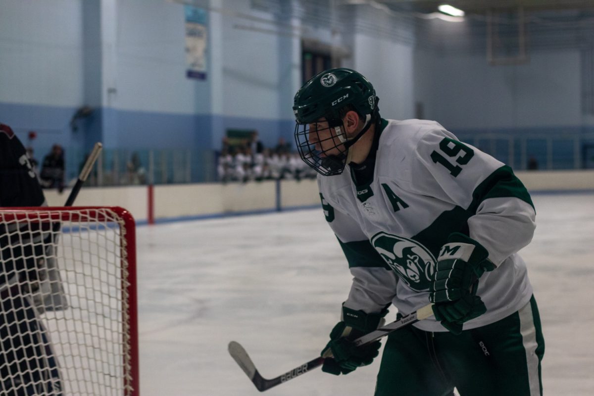 A hockey player during a match.