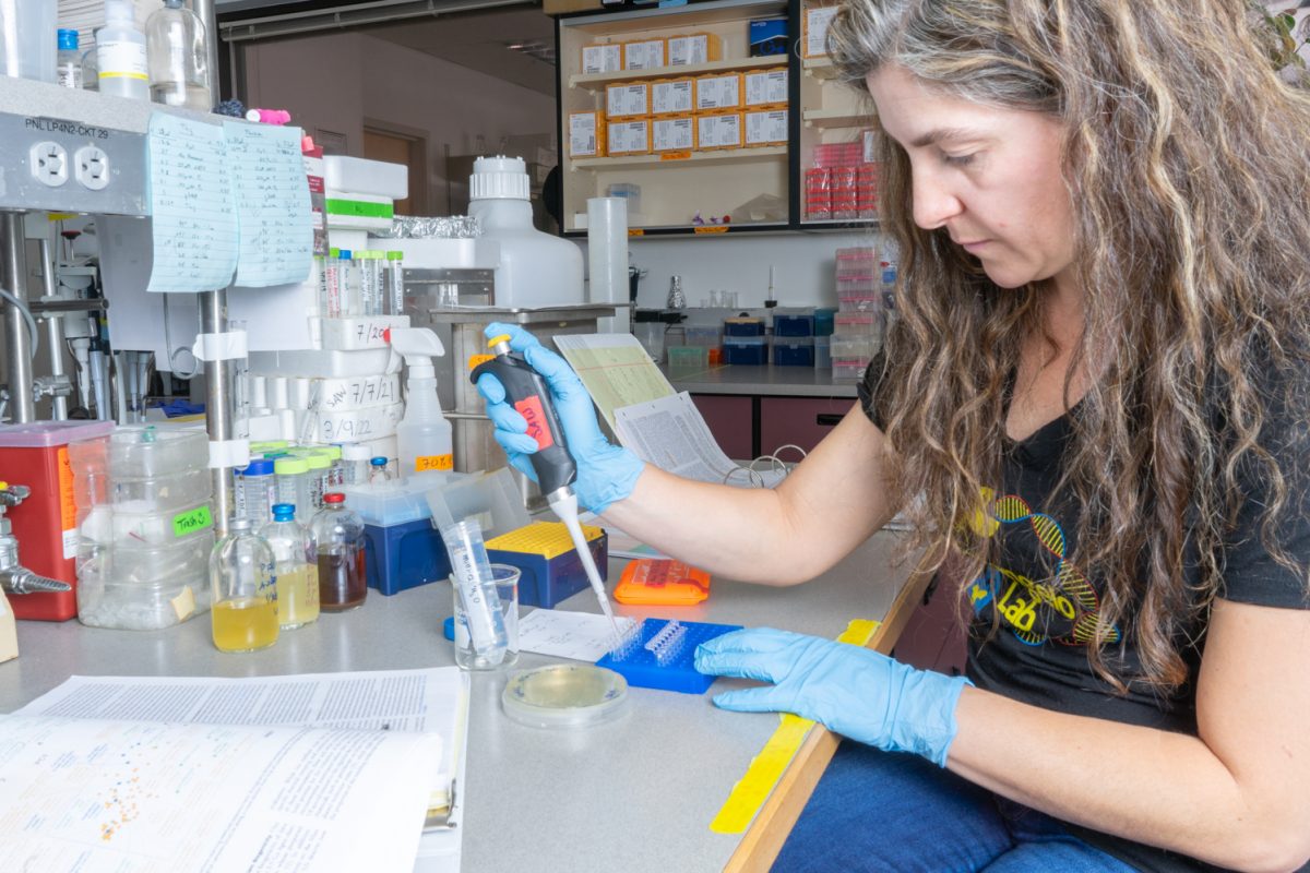 Postdoctoral researcher, Sere Williams is sitting and dropping water samples into test tubes at a desk in her lab where she’s working on research under NASA’s astrobiology grant in the Molecular and Radiological Biosciences building on Colorado State University’s main campus on Tuesday, February 18. “It looks like being in the lab all the time. It looks like extracting DNA. It looks like reading papers,” Dr. Williams said.