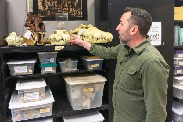 A man stands in front of bookshelves, on top of the shelves are animal skulls.