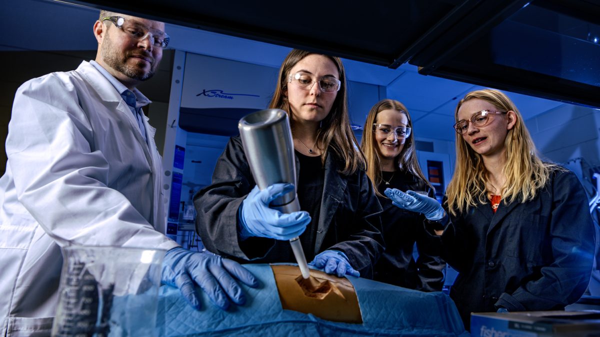 Professor Kirk McGilvray, student Olivia Pyke and graduate students Amelia Stoner and Jacqueline Linn apply a biopolymer foam to a mock wound at the Colorado State University Orthopaedic Bioengineering Research Laboratory Feb. 28. The team was awarded a grant by the U.S. Department of Defense to research and develop the foam for use in wound treatment, healing and recovery. “What's unique about vital foam is that it's a topical delivery solution that allows us to fill the volume of the wound,” McGilvray said. “That (also) allows for a homogeneous distribution of the therapeutics.”