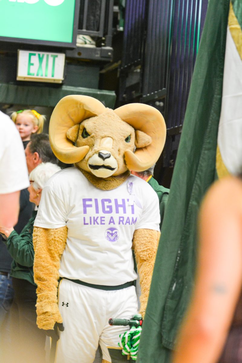 Cam the Ram during the women's basketball game against Air Force Feb. 1. Cam the Rams birthday was celebrated during this game.