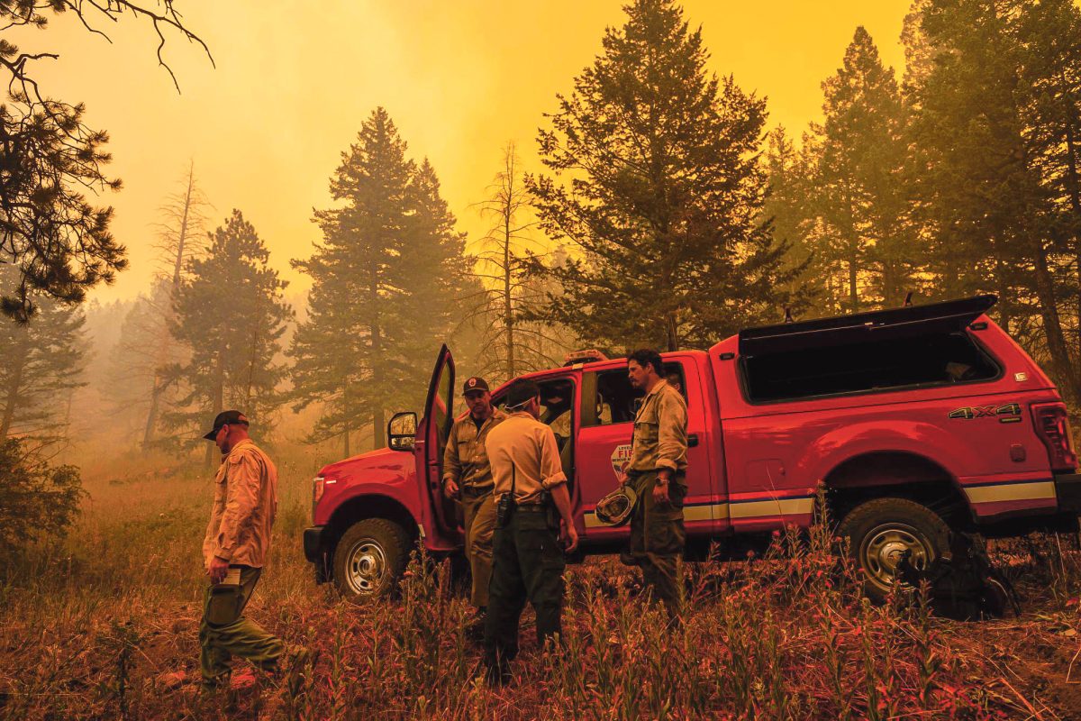 Photo courtesy of Garrett Mogel and Larimer County Sheriff's Office