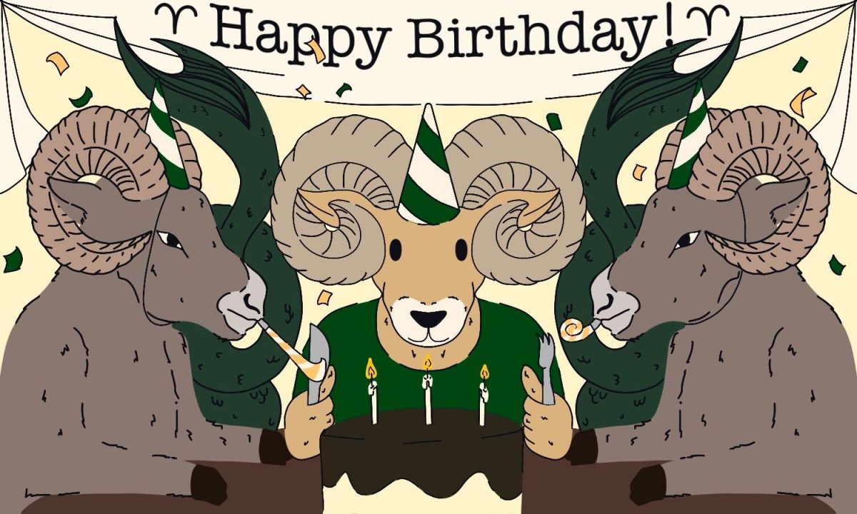 Cam the Ram is celebrating his birthday with two other rams.