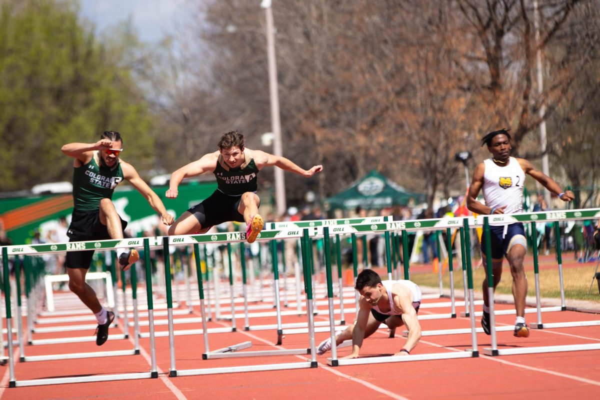 Colorado State University hurdelers race toward the finish line in the 100 meter hurdles event  at the Jack Christiansen Invitational at Colorado State University in Fort Collins Colorado on March 29. Photo taken by Erica Pickering.