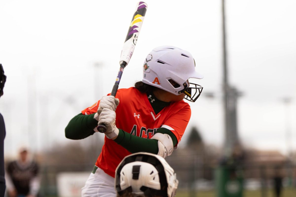 Colorado State University player gets ready to bat during game against University of Montana on March 30 at Rams Field in Fort Collins Colorado. Rams win 9-1 runs. Photo taken by Erica Pickering.