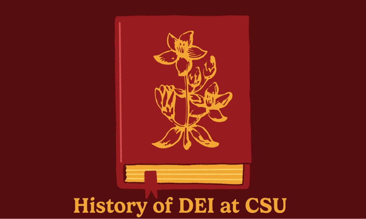 Image of book with text below that says, "History of DEI at CSU."