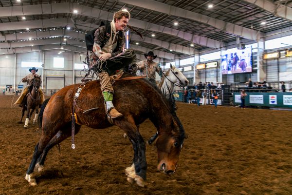 Image of a person riding a horse.