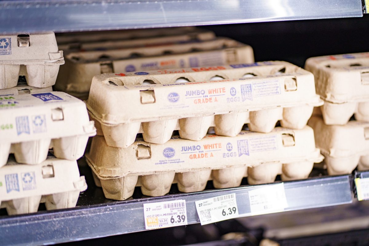 Eggs in the King Soopers on Taft Hill, Fort Collins April 21.