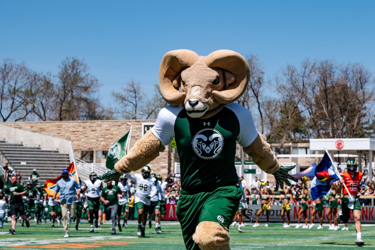 CAM the Ram leads Colorado State University football players in a charge onto the field at the start of a spring football scrimmage April 26.