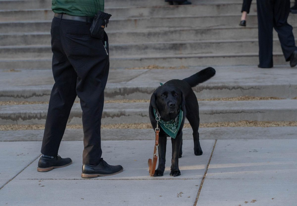 Fletcher, guide dog for Presidential Ambassador Robert Lamm, waits for a group photo on the steps of the Administration Building April 29. Lamm is chair of the Engagement Committee for the Presidential Ambassador program. 