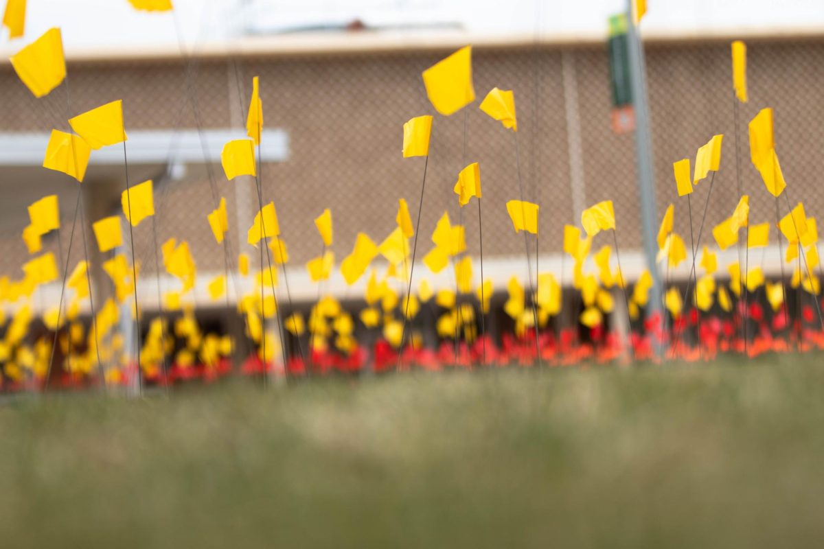 Flags put up in the Lory Student Center Plaza at Colorado State University in Fort Collins Colorado to honor Holocaust casualties on April 4. Photo taken by Erica Pickering.