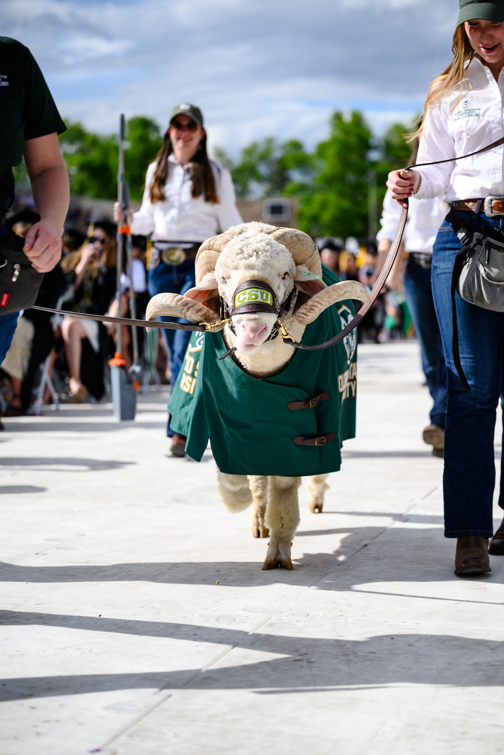 Gallery: CSU hosts first universitywide commencement in 30 years