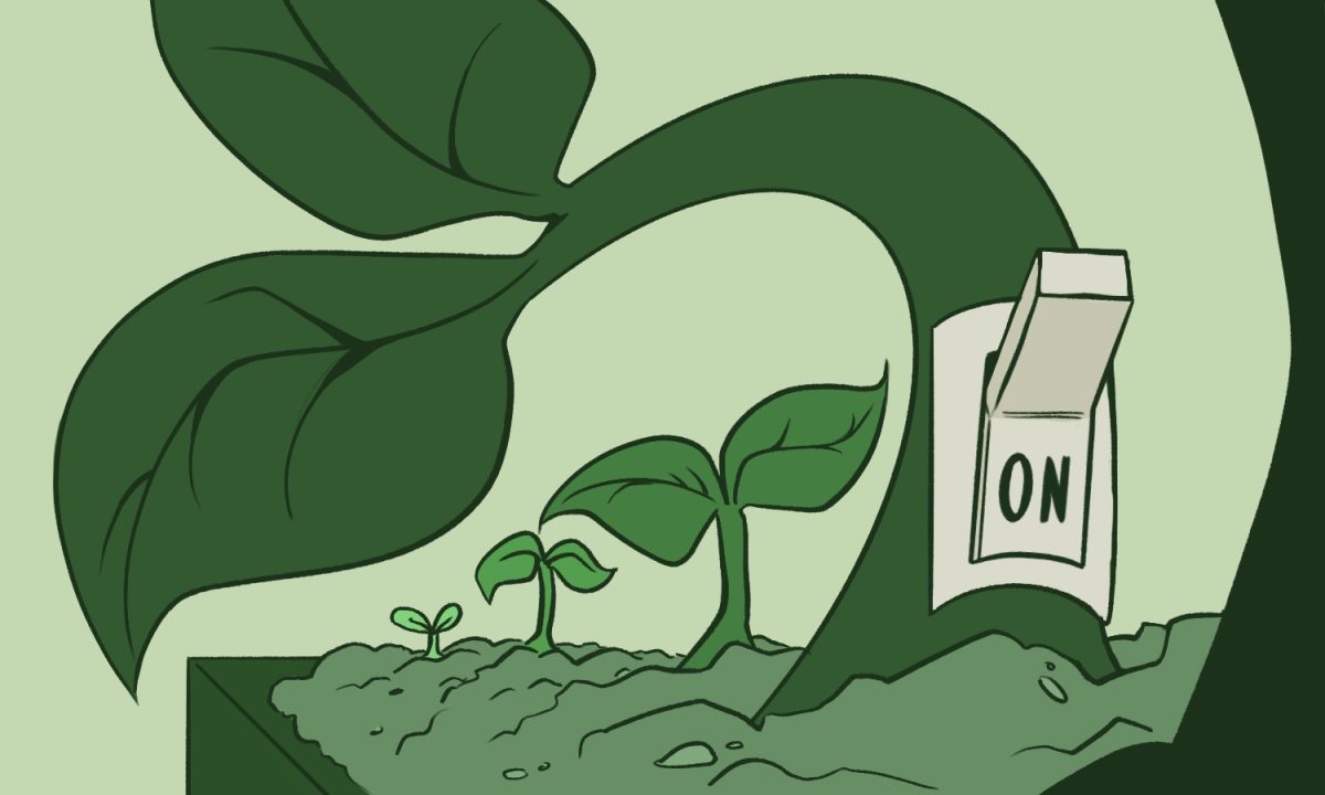 Interdisciplinary researchers develop first-ever genetic switch in plants