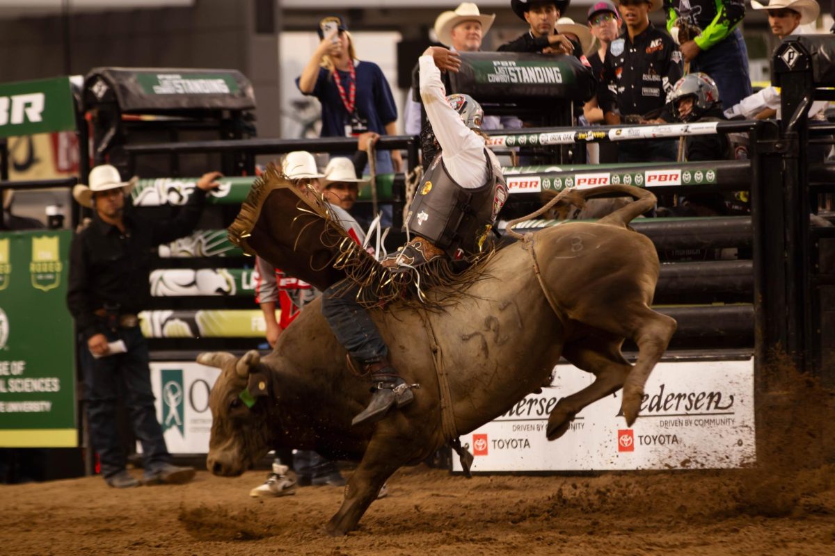 Pro bull rider Maverick Smith rides in PBR Last Cowboy Standing on July 22nd in Fort Collins Colorado at Colorado State University. Photo taken by Erica Pickering.