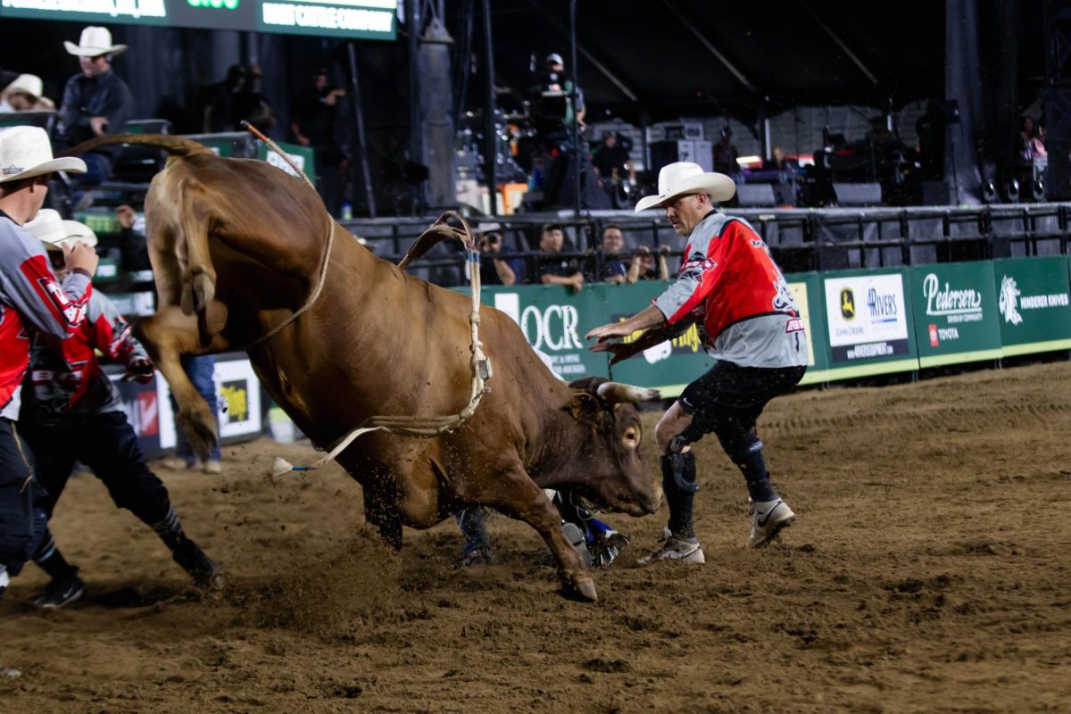 Bull fighters fend off an aggressive bull during PBR's Last Cowboy Standing event on July 21, 2025 at Colorado State University's Canvas Stadium in Fort Collins Colorado. Photo taken by Erica Pickering.