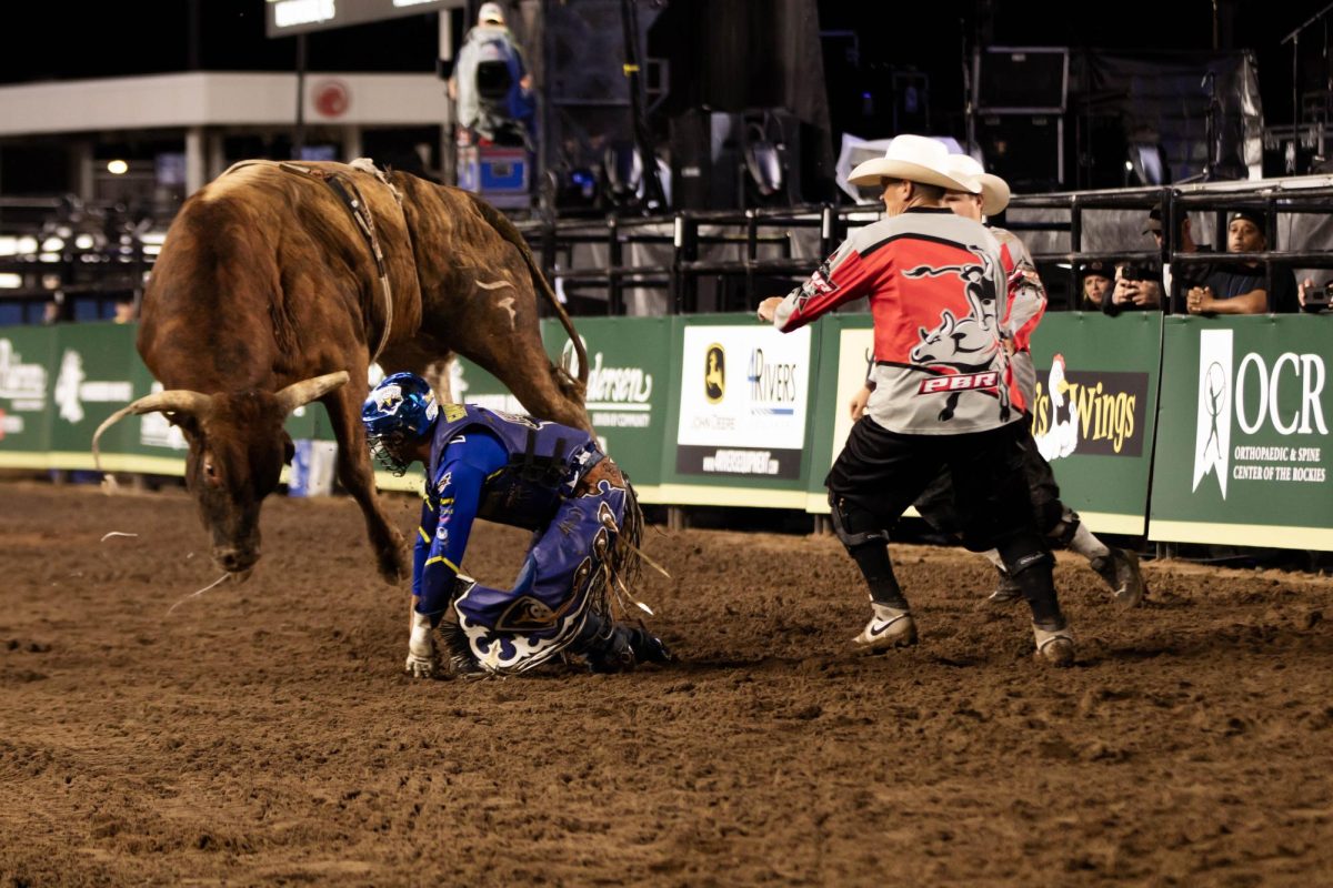 A pro bull rider faces head on with a bull during PBR's The Last Cowboy Standing even at Canvas Stadium in Fort Collins Colorado on July 22, 2025. Photo taken by Erica Pickering.