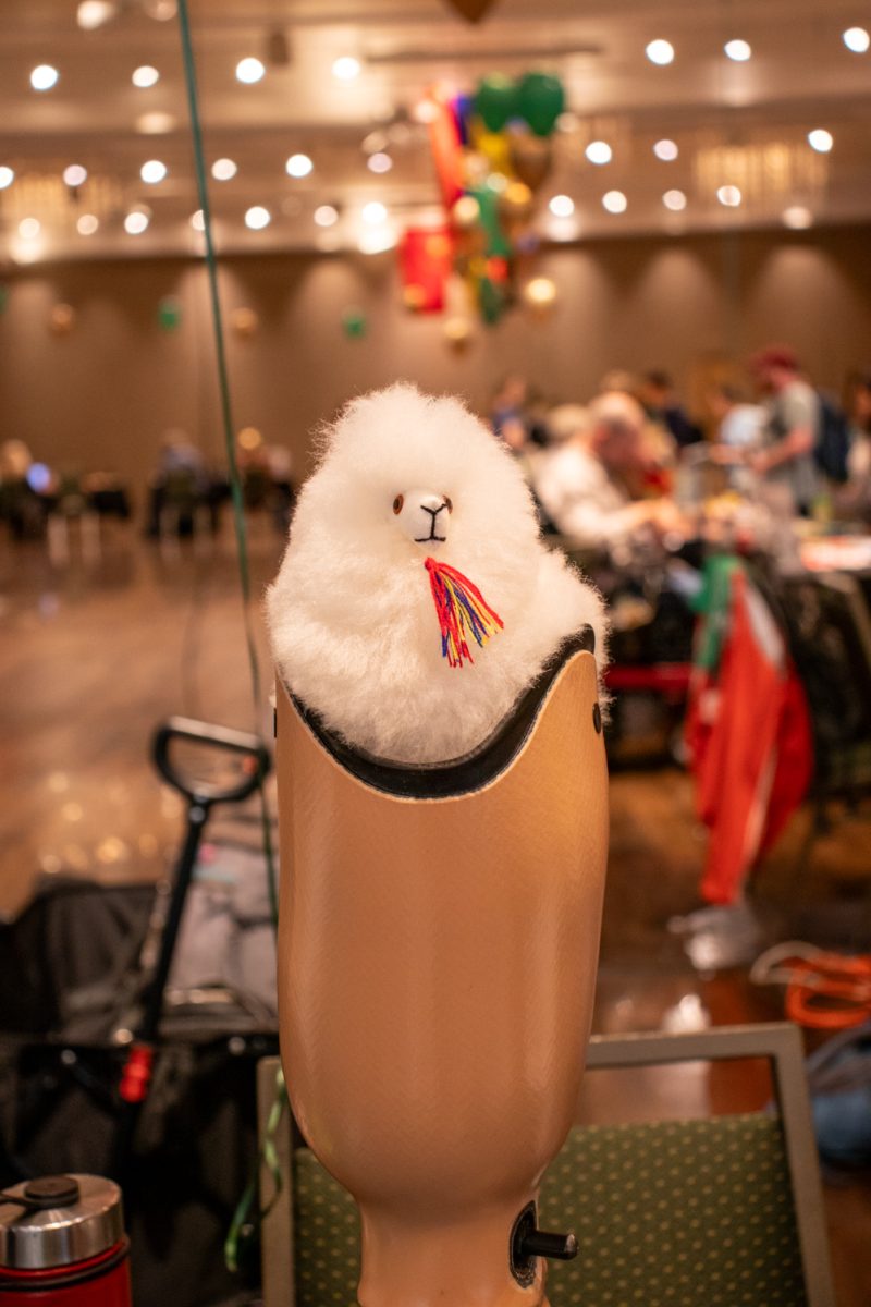 A stuffed llama sits in a prosthetic leg at a display during the Education Abroad fair at the Lory Student Center ballroom at Colorado State University on Sept. 12, 2025.