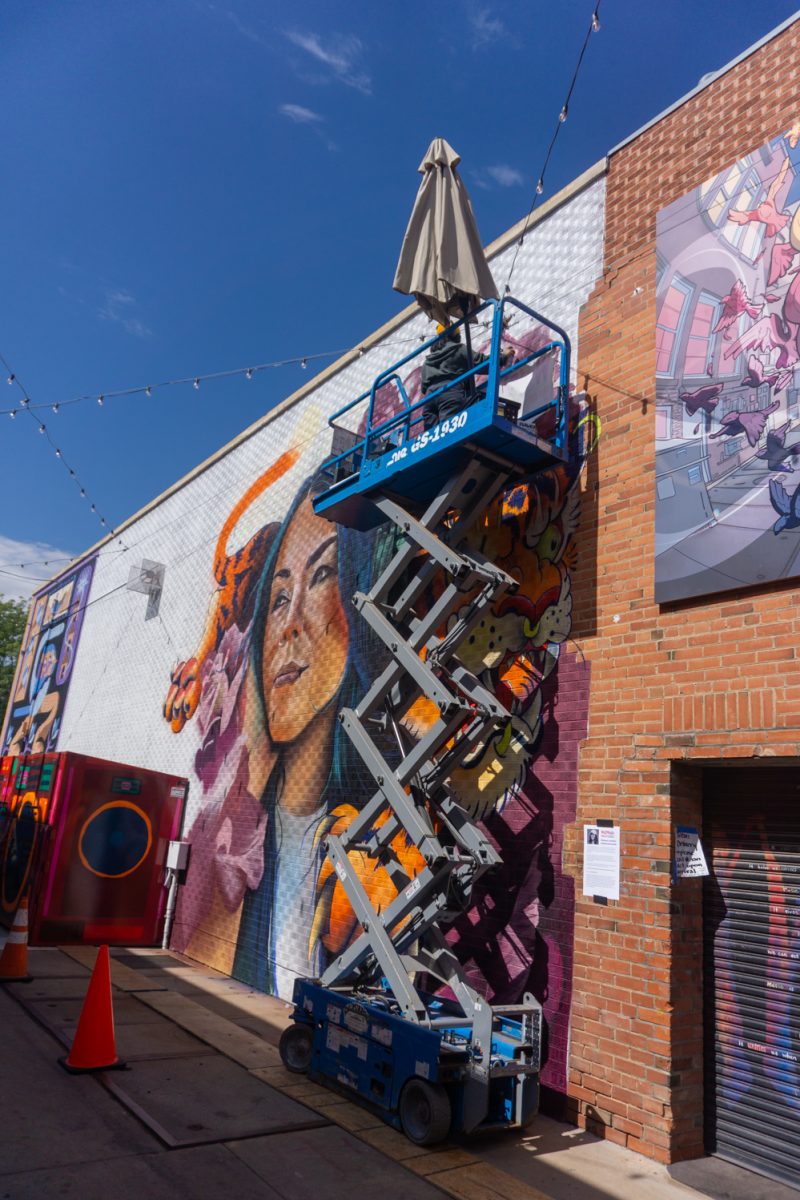 Chelsea Lewinski adds details to her mural during WeldWalls Mural Festival in Greeley Sept 20. The mural, "Basslines Bloom" is meant to be a visual song according to the mural description. "The bassline (the tiger) represents depth, darkness and the weight we all carry," Lewinski explained.