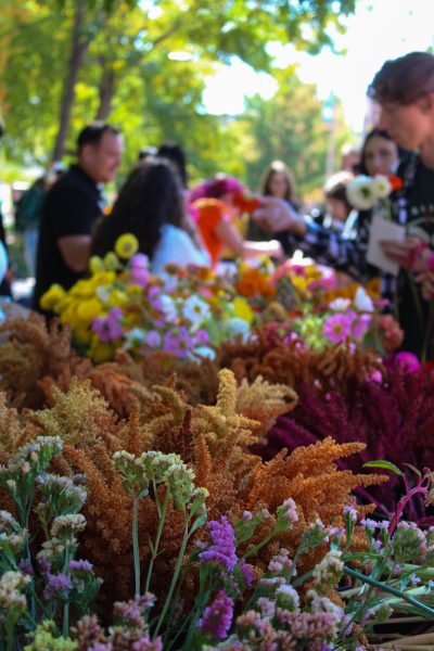 Students look over a selection of colorful flowers.