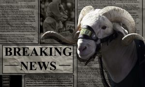 Can over the top of a newspaper with the words “BREAKING NEWS”