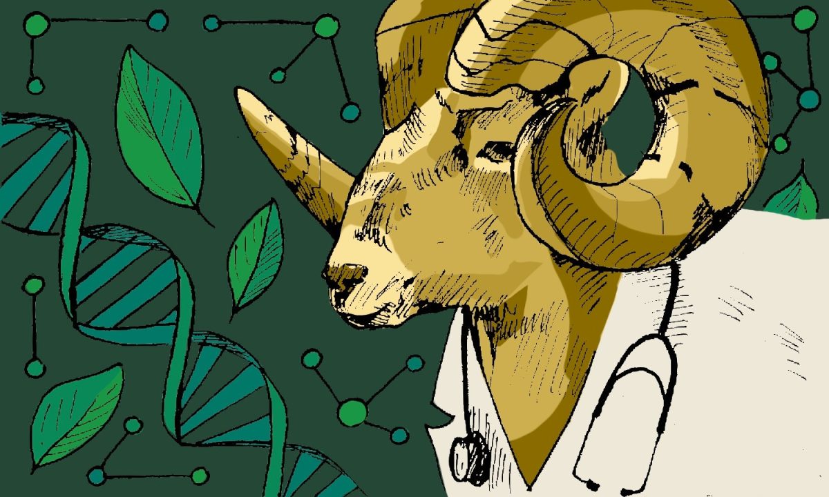 6 patents granted at CSU over the past year