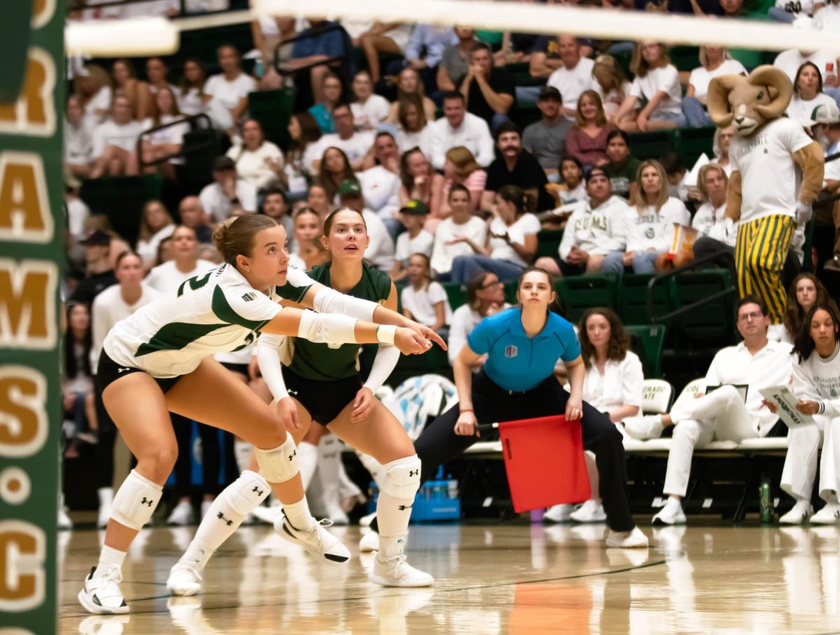 A volleyball player in white and green leans down with her hands out to hit a volleyball.